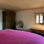 Casa Vanellus / / Val Lumnezia / Near Laax 度假居 *