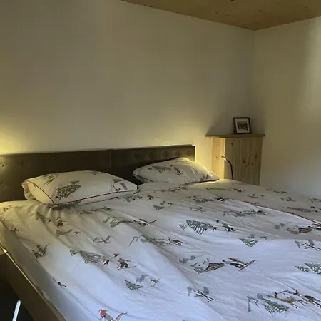Casa Vanellus / / Val Lumnezia / Near Laax Dom wakacyjny Vignogn