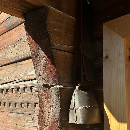 Casa Vanellus / / Val Lumnezia / Near Laax * Vignogn