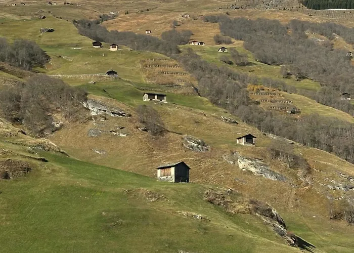 Casa Vanellus / / Val Lumnezia / Near Laax